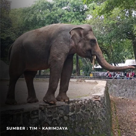 Ragunan - Karim Jaya